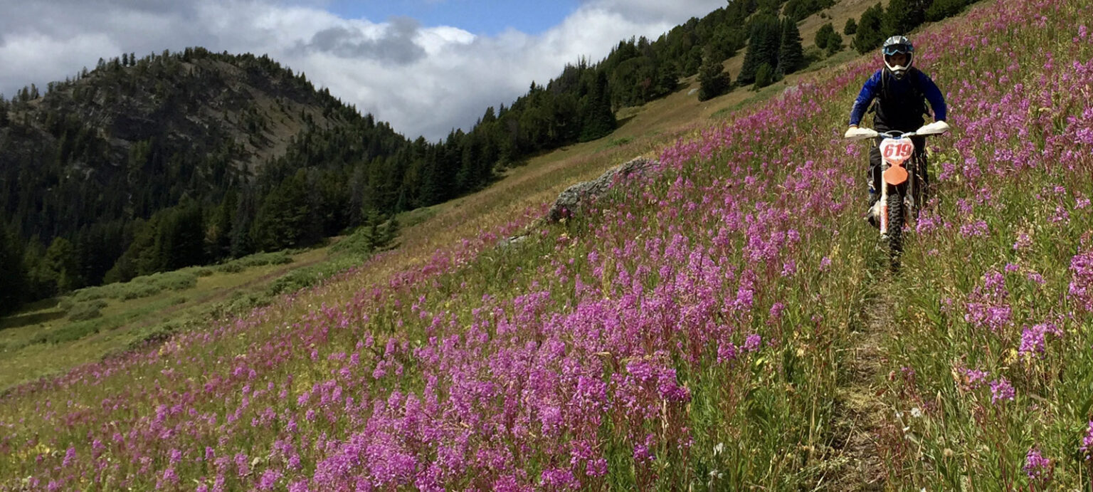 Marshall Lake scenic view